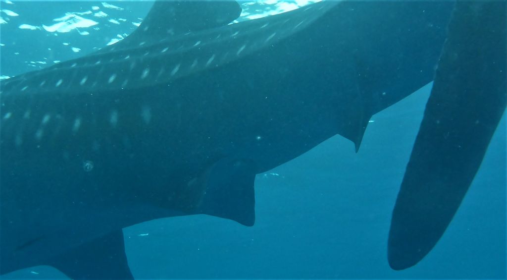 1608111a-48fe-48a5-9677-e0041e5b62ea