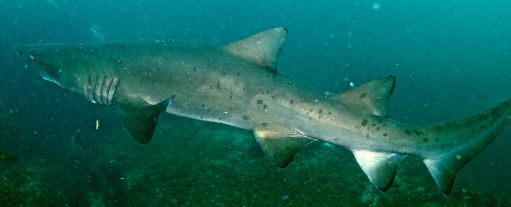 fa14114f-028b-497c-bfb0-642bc3bc9660