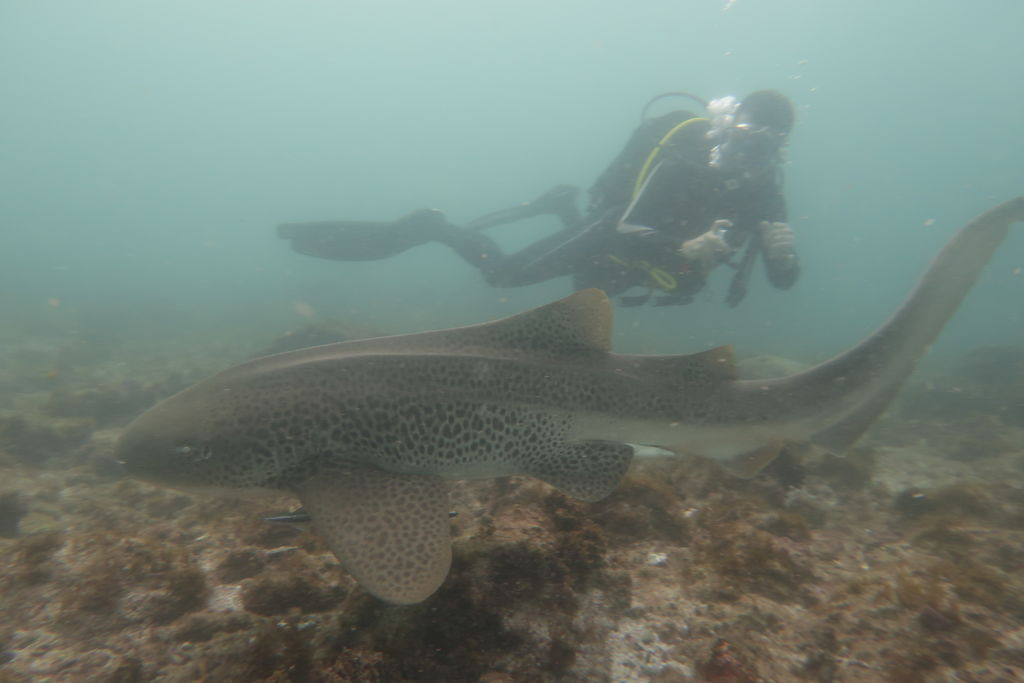 e4659021-bfc9-4cd3-a4c9-c392c155b684