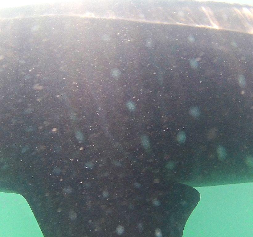 5719a07b-2b60-43f4-92f2-8d331bb6603b