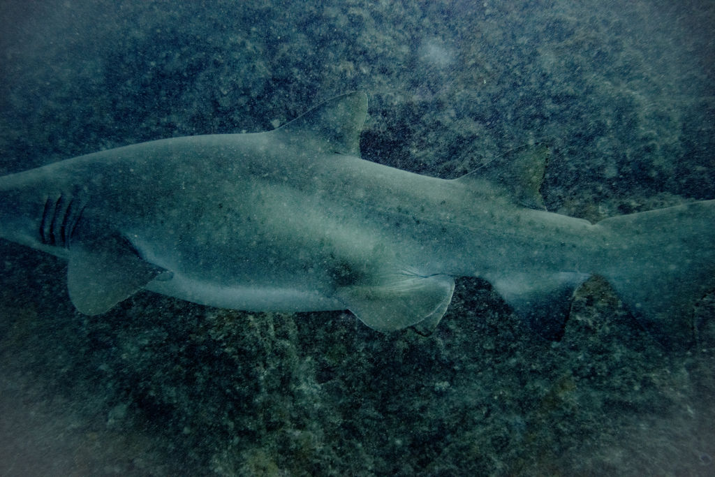 1d4d5b9f-a244-4ecd-baec-92cc2655a616