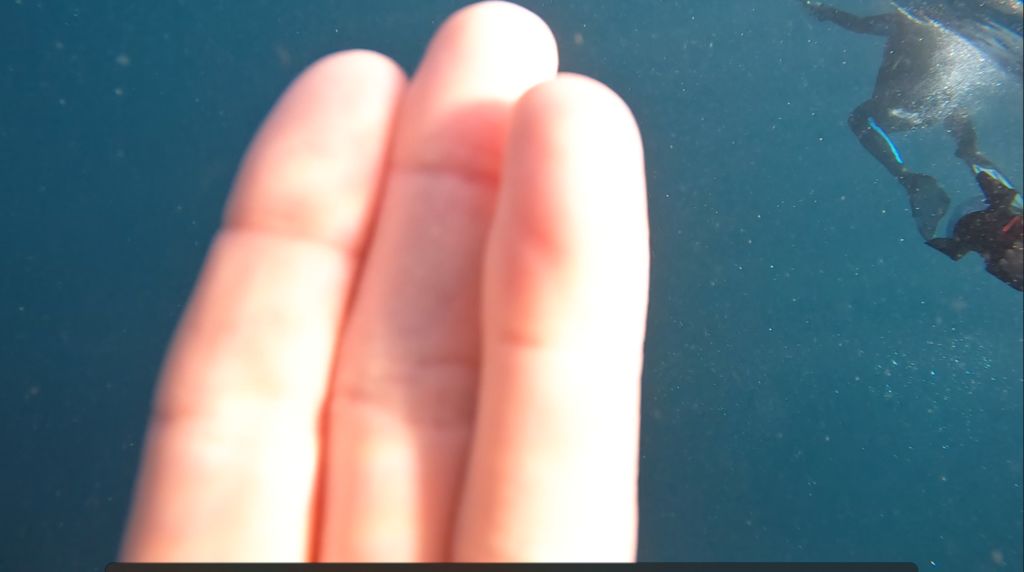 86ad932a-a857-4c0d-8720-bf7180b29f3d