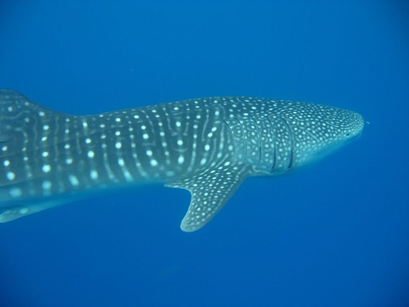 9919255f-d432-4e7b-acbc-c1b1331db3ee