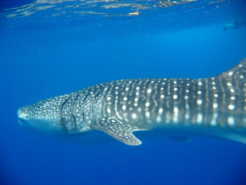 9919255f-d432-4e7b-acbc-c1b1331db3ee