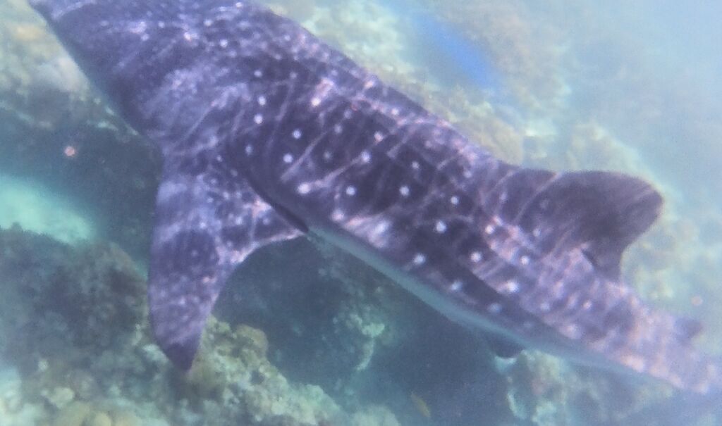 61017ffa-ff1b-4437-b5ee-d9000c088bc6