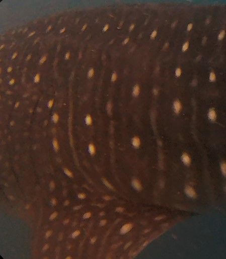 7c638347-5a4d-4639-833a-ae50976d0a37