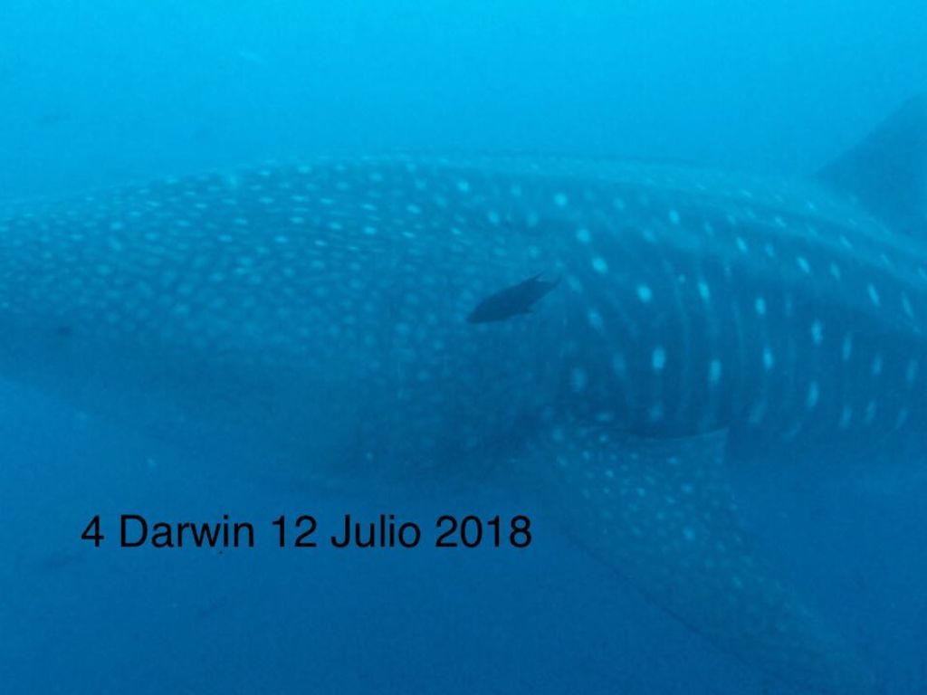 829b6956-1a08-44f7-ad6d-15734a9bf484