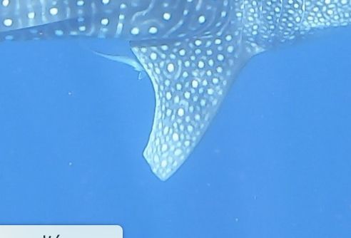 69379e48-fce9-4e39-8ef8-8877f747025e