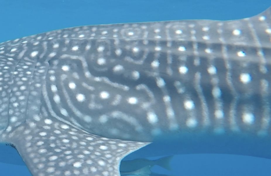 69379e48-fce9-4e39-8ef8-8877f747025e