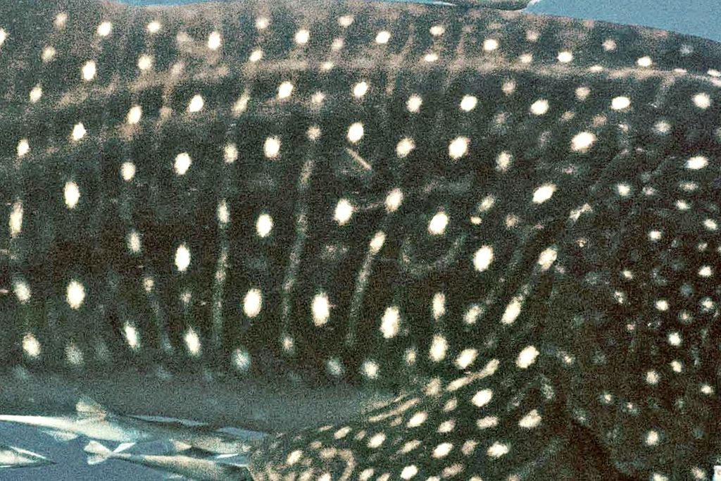 1efed366-7383-423e-b1fc-61dfacfc4554