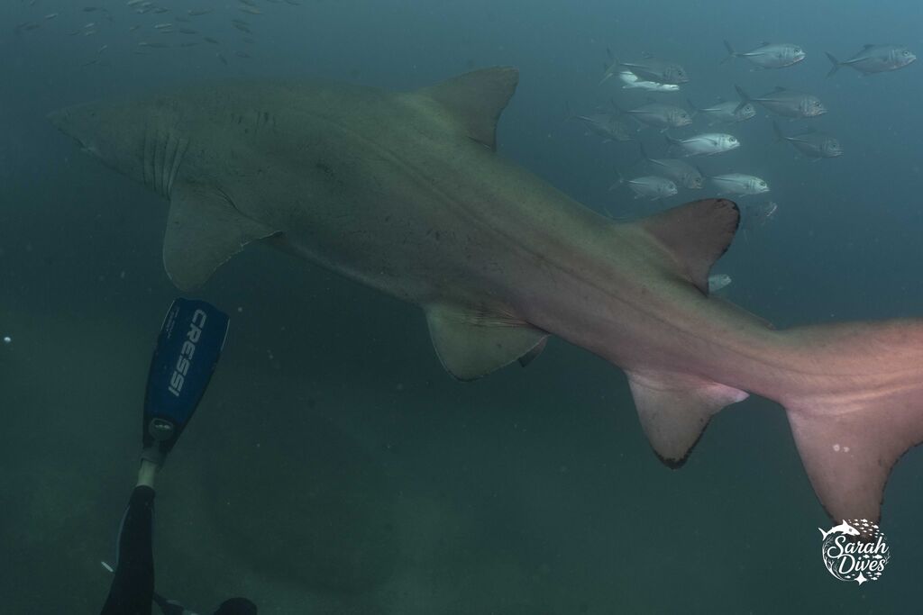 f50df1e7-4a79-40bc-860e-27adeeba150e