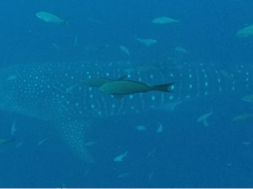 844742bf-b86f-40fe-9e63-d94be824223d