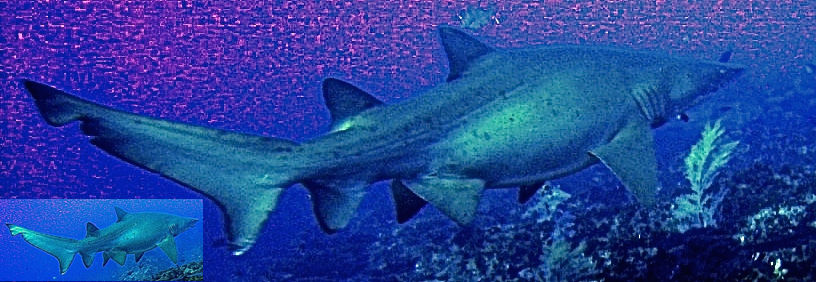 56d4cc0b-8009-4474-9faa-38aa55b67dd3