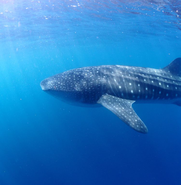 b0a9b784-d31e-492f-b451-a9e1520ba523