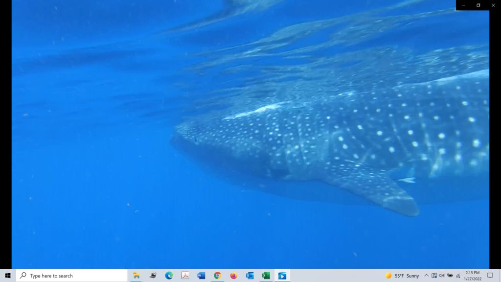 73ae4459-e86b-435d-b529-5854fae6bdc9