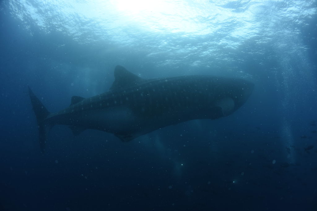 20bef200-42c8-41ce-91b9-ebd06bff9d57