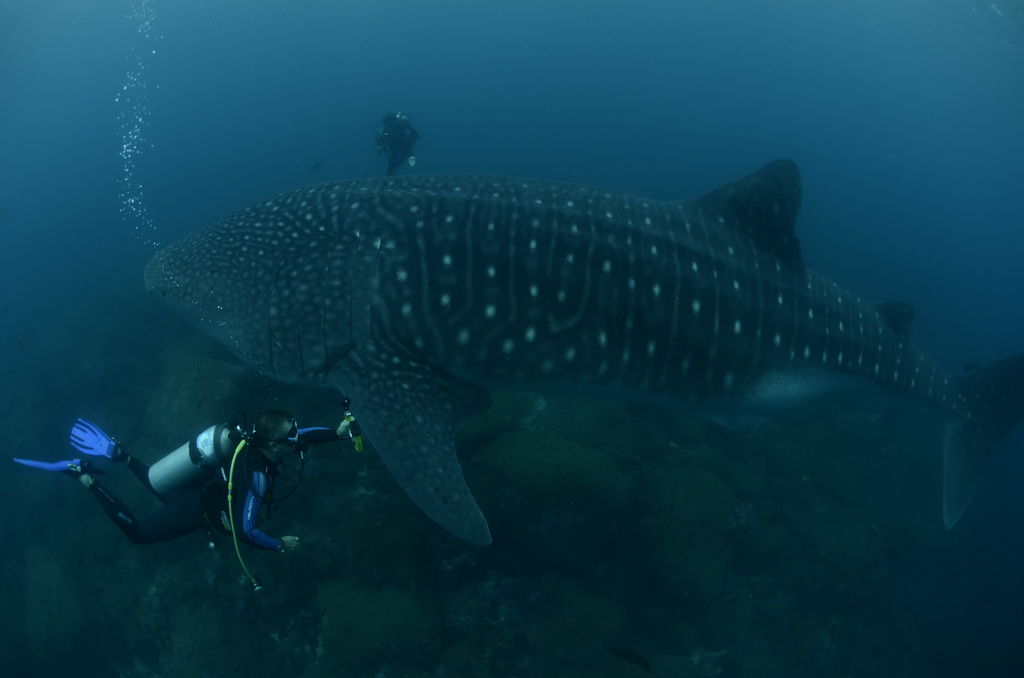 20bef200-42c8-41ce-91b9-ebd06bff9d57