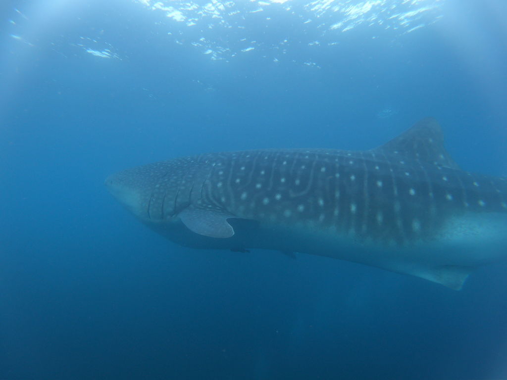 20bef200-42c8-41ce-91b9-ebd06bff9d57