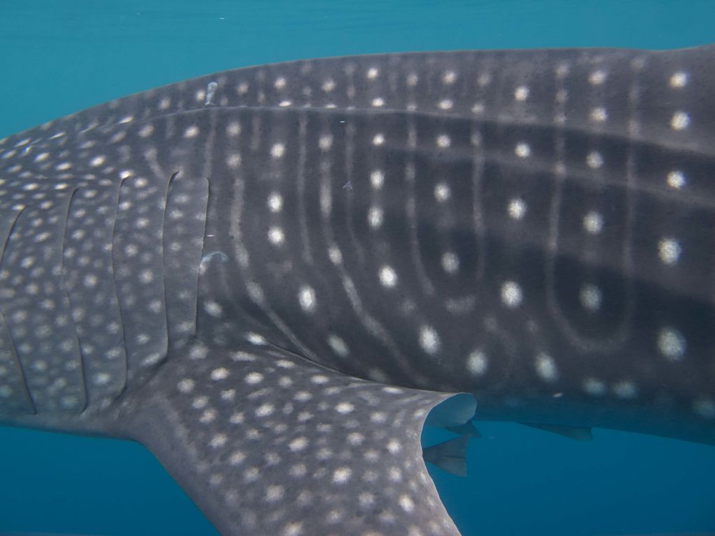 6fb1fb0f-6e1f-4cfa-977d-86e10c4baaf4