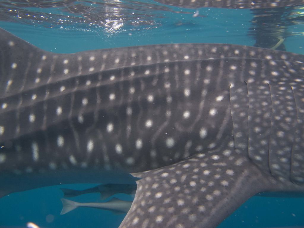 6fb1fb0f-6e1f-4cfa-977d-86e10c4baaf4