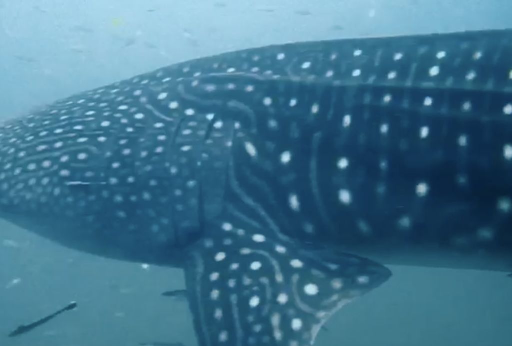 0afb7b23-d164-4552-9d87-ee102f04f19b