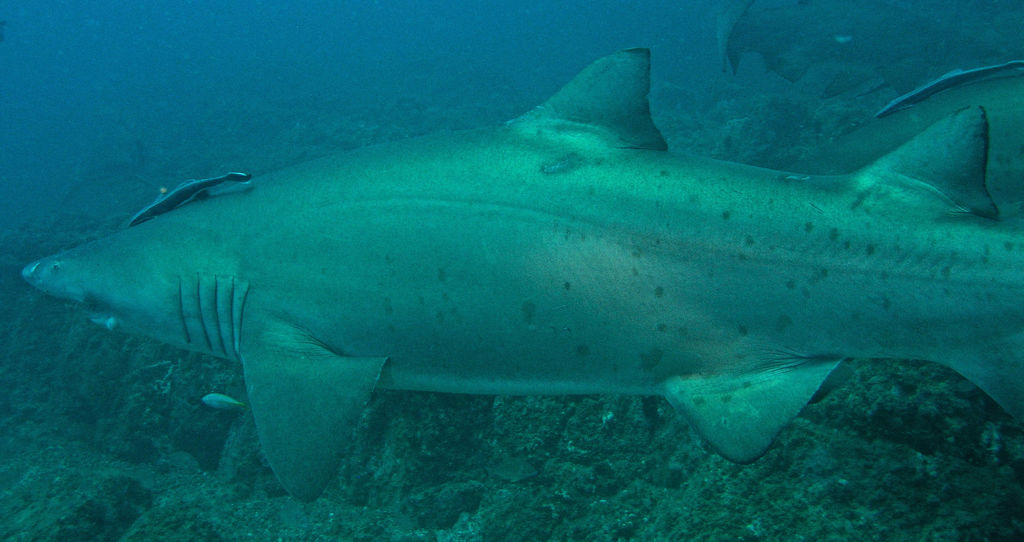 665339dc-4aa6-4b53-8f6c-0b4cbe9bf243