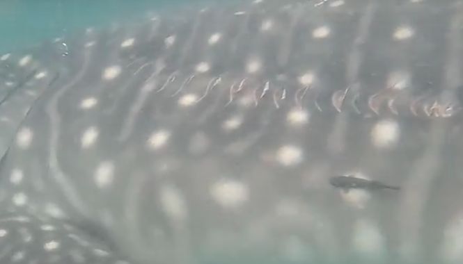 01cc42e8-c0fa-4366-85f8-93570eedf1e5