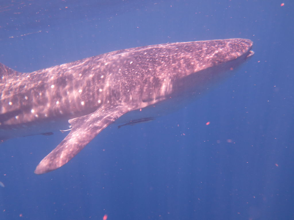 2da96c01-d7ca-4a82-bf90-d35980552f26