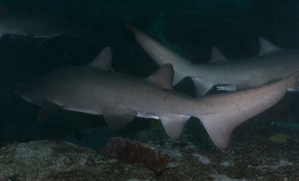 e5e87d37-486b-457c-bb58-46150aaf1670