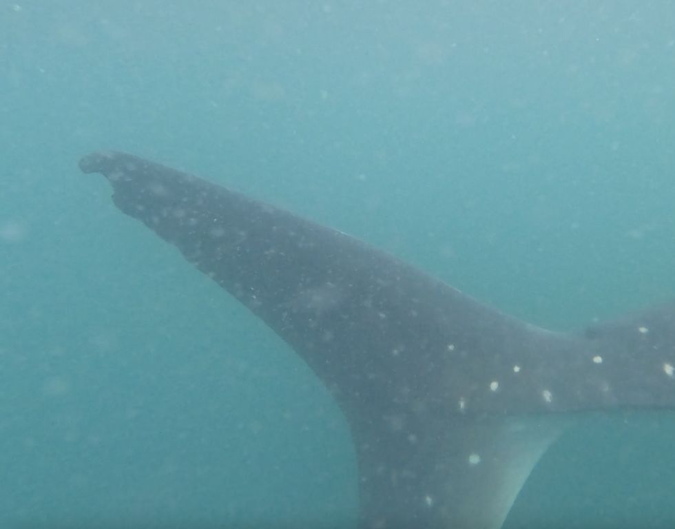 71cd50ce-27d2-4d04-890e-62be56b8e1a7