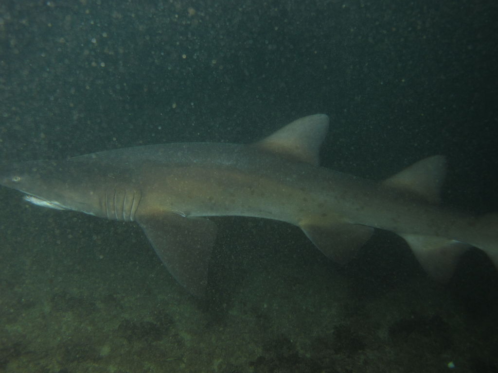 099d4efc-261a-4114-8bad-f54544406047