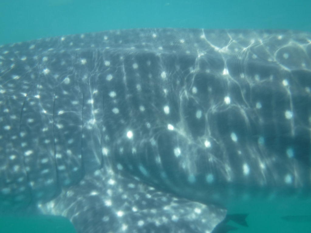 45ef75b9-6ef9-4306-9d28-2613610c72af