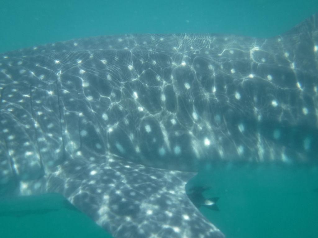 45ef75b9-6ef9-4306-9d28-2613610c72af