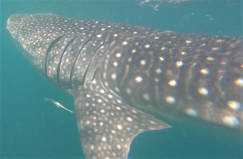 7f338113-e6af-4a8b-add8-a86b177bb66a