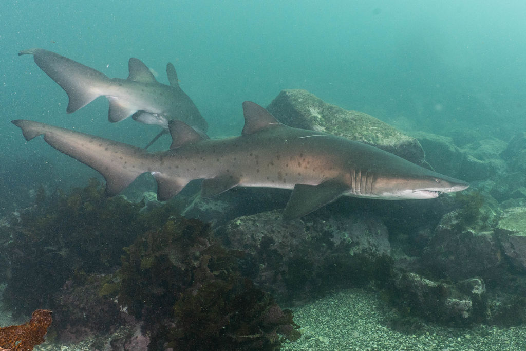 3a842e90-56b6-4882-bab0-39a944560a8d