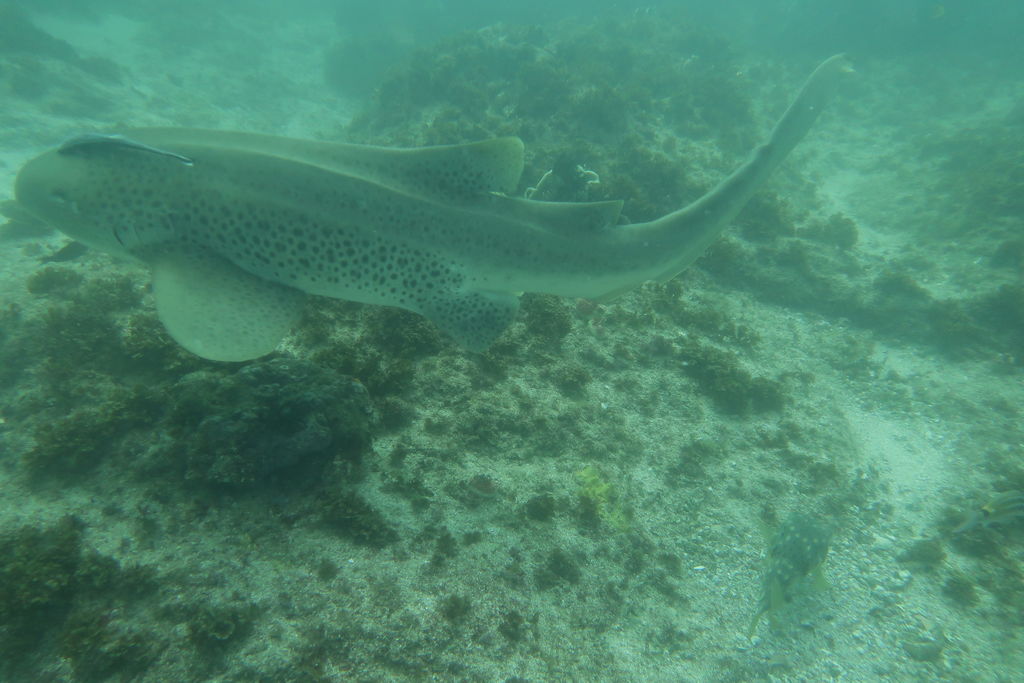 0fb20742-d56d-4855-bff9-fdc26ab4a53c