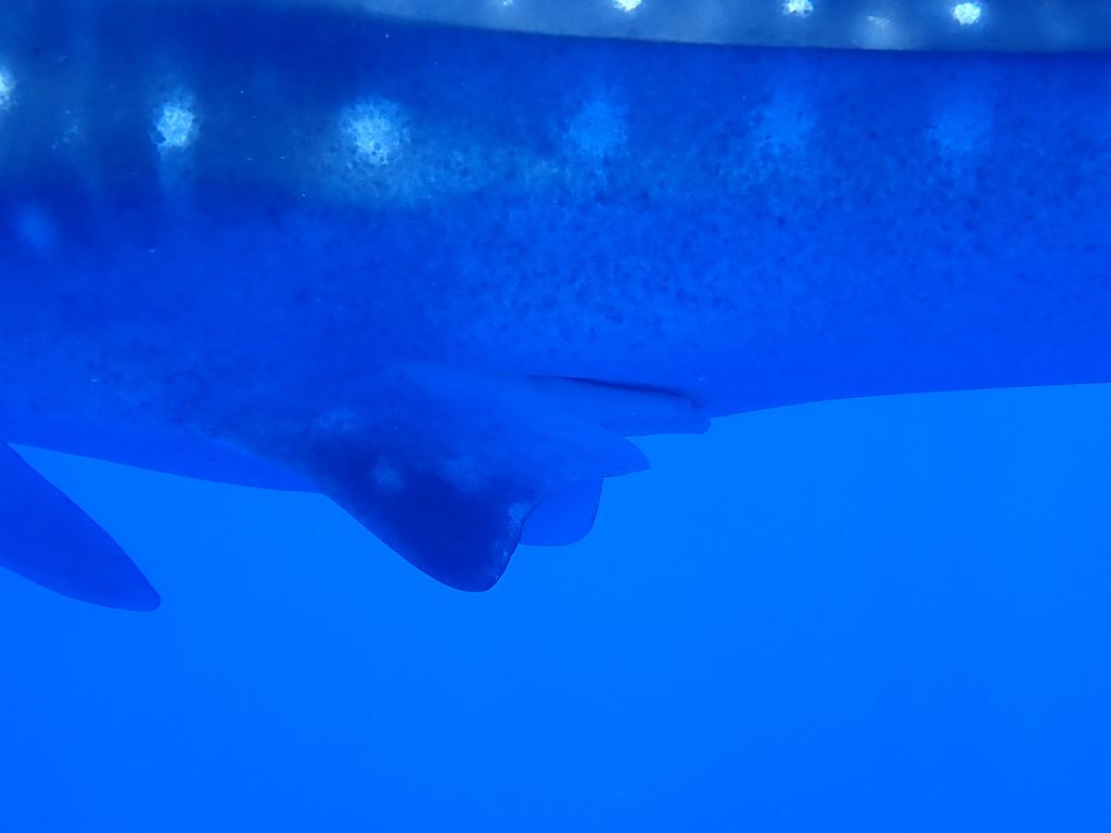 6f32078d-ca76-4f13-8c99-c7d7f2314e59