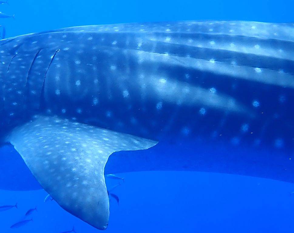 6f32078d-ca76-4f13-8c99-c7d7f2314e59