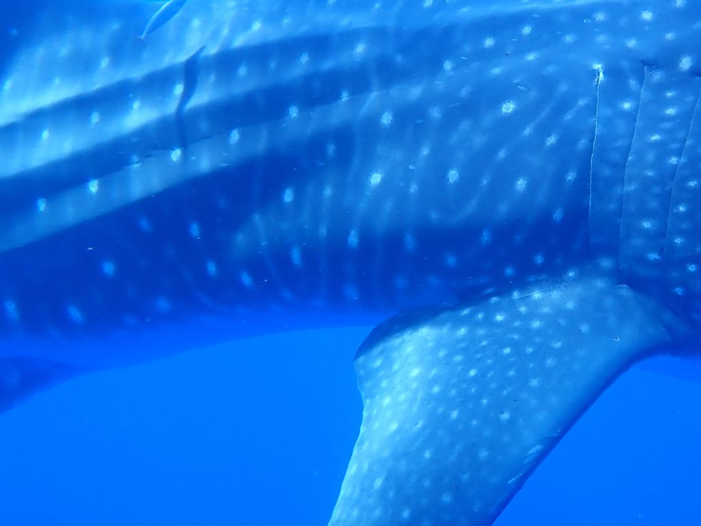 6f32078d-ca76-4f13-8c99-c7d7f2314e59