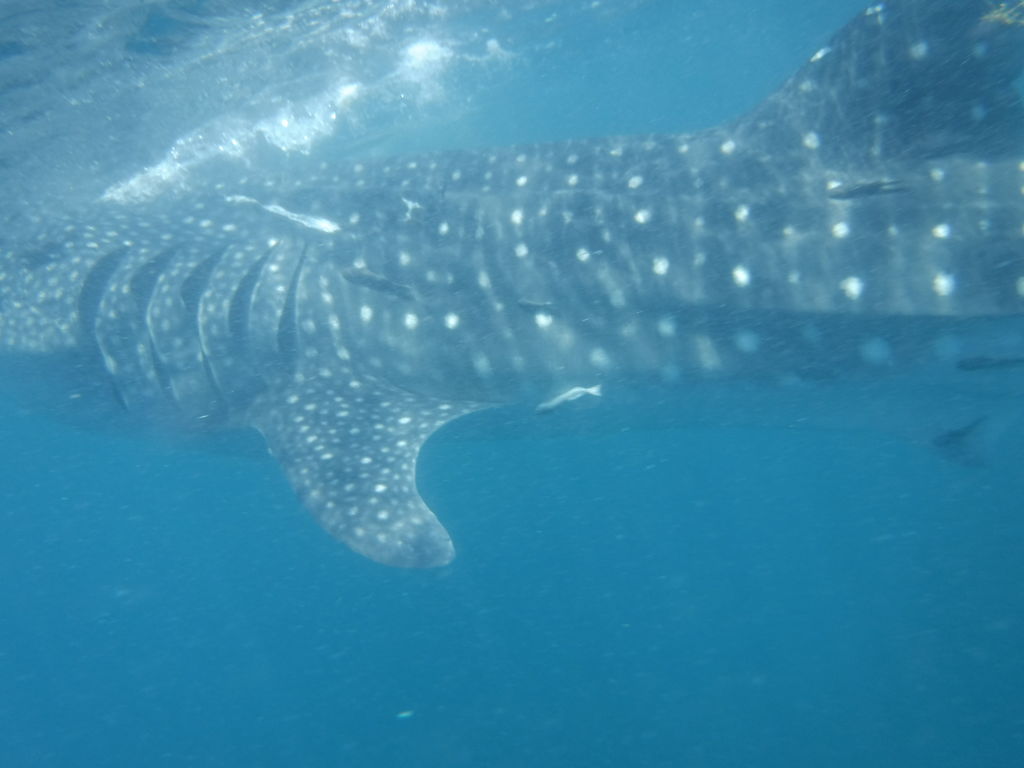 d1ad4cd8-e4a6-43c5-a49a-7676d11cc651