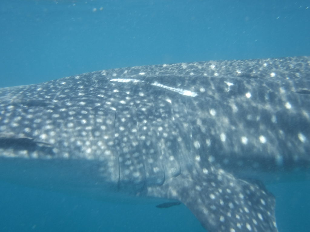 d1ad4cd8-e4a6-43c5-a49a-7676d11cc651