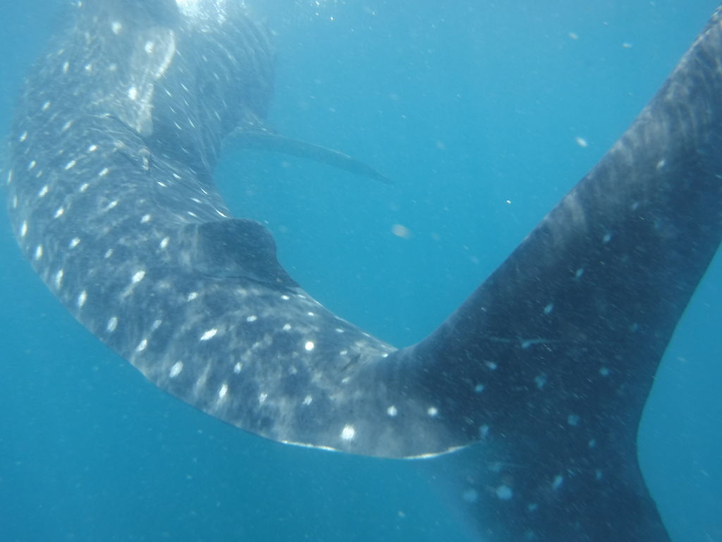 d1ad4cd8-e4a6-43c5-a49a-7676d11cc651