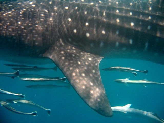 36cf30b3-44ed-4262-a748-6ef936904406