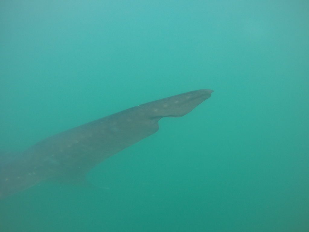 47111f68-a21a-41b5-9f15-be1e54b7d189