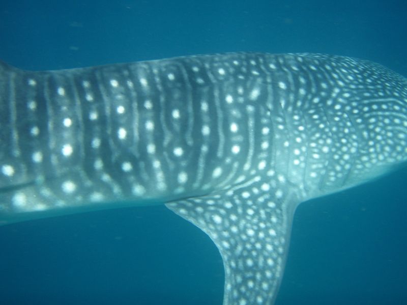 13ff30c6-dd05-4a43-bdbf-b7c4fdca360d