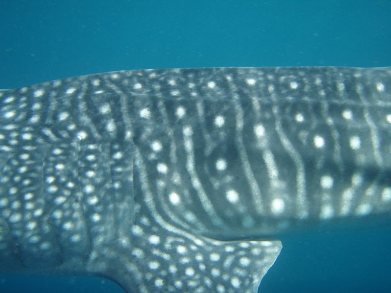 13ff30c6-dd05-4a43-bdbf-b7c4fdca360d