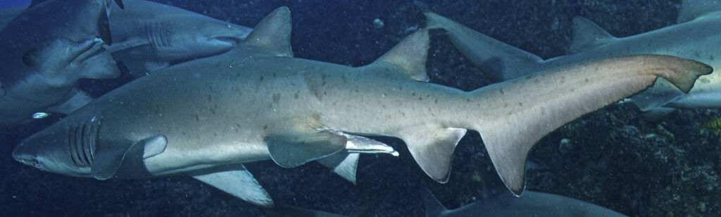 606df998-4af3-4e02-b9e3-6311ca47cfdb