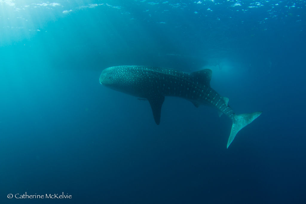 49545054-3d0e-4a2b-92e7-0b69b7610ec5