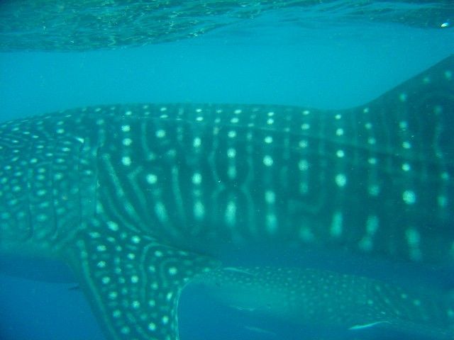 c6d47ed0-61cf-4a58-a59d-69f84d5de032