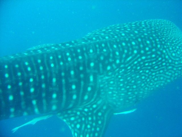 c6d47ed0-61cf-4a58-a59d-69f84d5de032